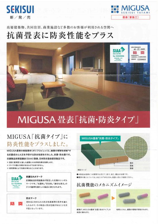 Scan1