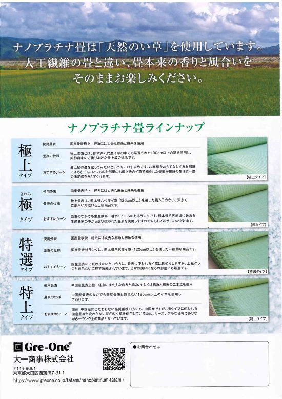 ナノプラチナ04